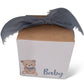 Vintage Teddy Bear Vachnacht Peckel Box with Frayed Ribbon (Additional Colors Available upon Request)