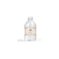 Personalized 8 oz. Water Bottle Vintage Plane