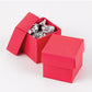 Two Piece Favor Boxes. More Colors Available.